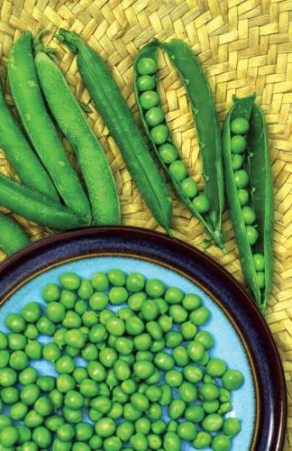 Consider Heirloom Varieties When Growing Peas